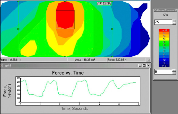 F-Socket Software provides information on peak pressures, force vs. time graphs and center of force (CoF).