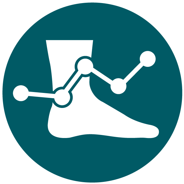 essential gait analysis software for in-shoe pressure mapping