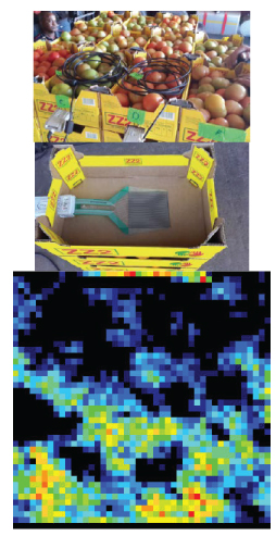 Figure 1: I-Scan pressure mapping sensors were placed within tomato crates to monitor item shifts during transit. The pressure map image shows one snapshot of pressure distribution on the way to market.